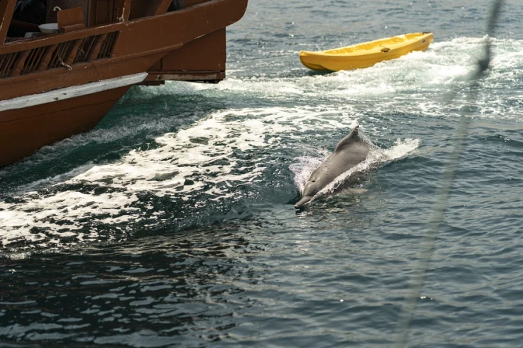 AZIMUT Отель Мусандам