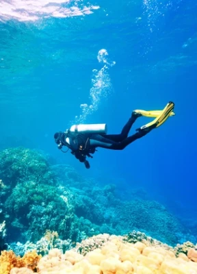 Snorkeling and Diving in Musandam