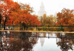 What to do in Moscow in rainy weather